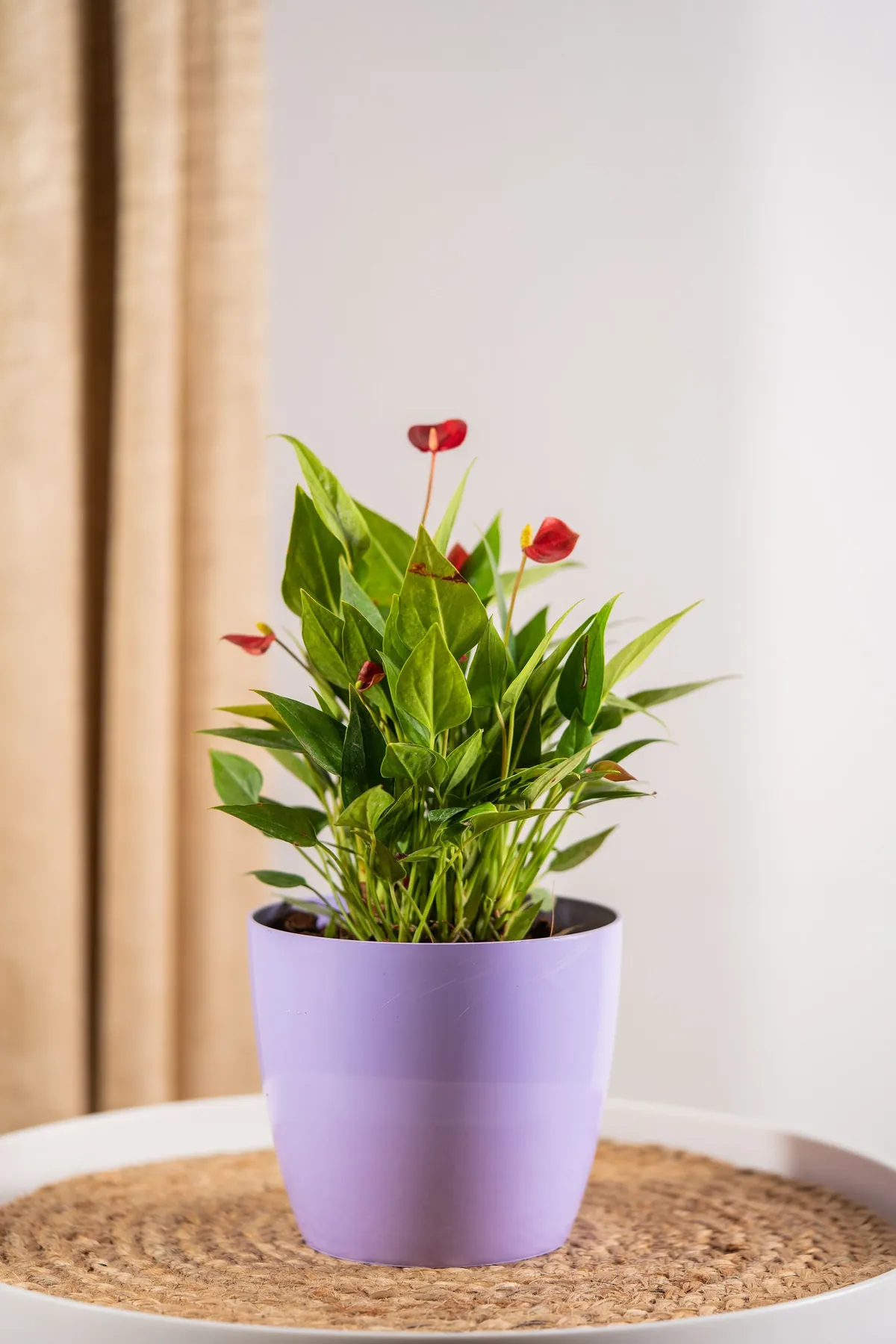 Products photography by Pranav Kalra — frame 7